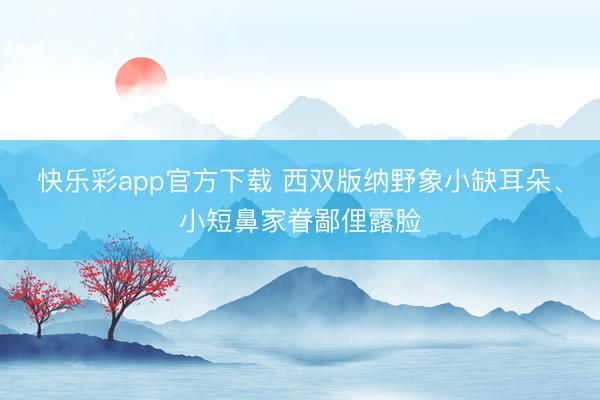 快乐彩app官方下载 西双版纳野象小缺耳朵、小短鼻家眷鄙俚露脸