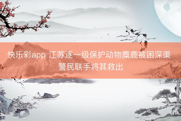 快乐彩app 江苏逐一级保护动物麋鹿被困深渠 警民联手将其救出