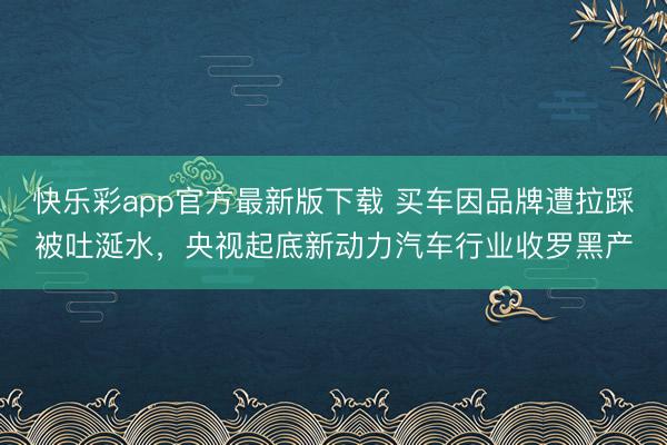 快乐彩app官方最新版下载 买车因品牌遭拉踩被吐涎水，央视起底新动力汽车行业收罗黑产