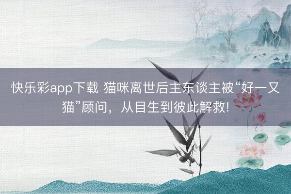 快乐彩app下载 猫咪离世后主东谈主被“好一又猫”顾问，从目生到彼此解救!