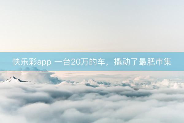 快乐彩app 一台20万的车，撬动了最肥市集