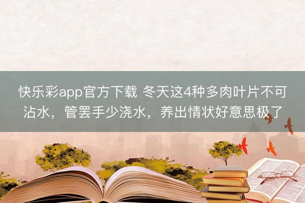 快乐彩app官方下载 冬天这4种多肉叶片不可沾水，管罢手少浇水，养出情状好意思极了