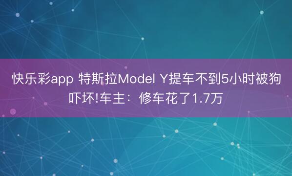 快乐彩app 特斯拉Model Y提车不到5小时被狗吓坏!车主:修车花了1.7万